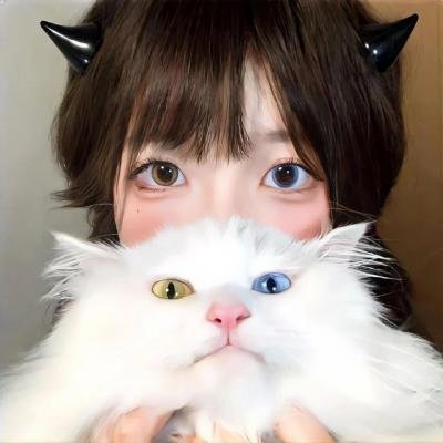 麒麟之翼